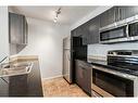 204-5 Saddlestone Way Ne, Calgary, AB  - Indoor Photo Showing Kitchen With Double Sink 