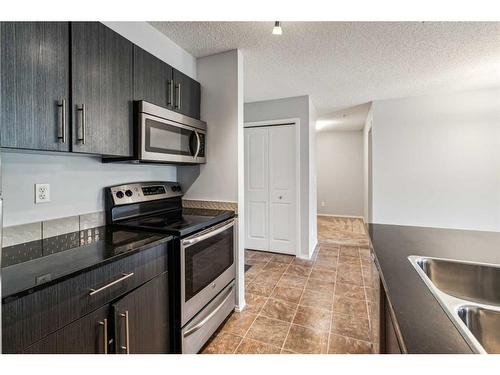 204-5 Saddlestone Way Ne, Calgary, AB - Indoor Photo Showing Kitchen With Double Sink