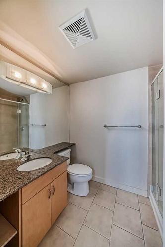 619-8880 Horton Road Sw, Calgary, AB - Indoor Photo Showing Bathroom