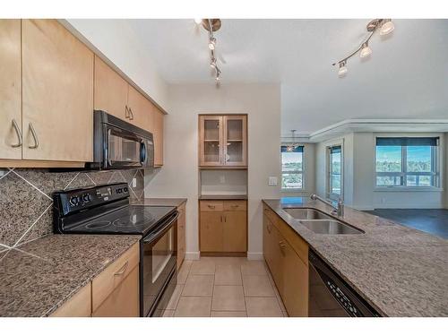 619-8880 Horton Road Sw, Calgary, AB - Indoor Photo Showing Kitchen With Double Sink