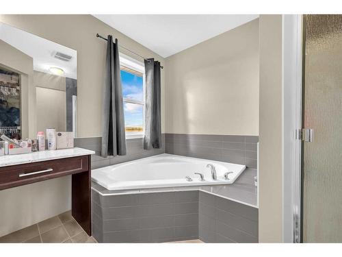 396 Skyview Shores Manor Ne, Calgary, AB - Indoor Photo Showing Bathroom