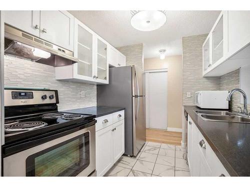 218-20 Dover Point Se, Calgary, AB - Indoor Photo Showing Kitchen With Double Sink