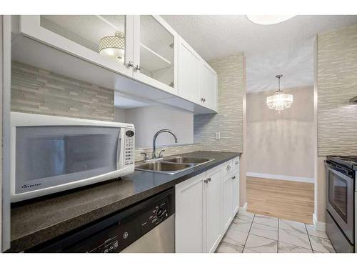 218-20 Dover Point Se, Calgary, AB - Indoor Photo Showing Kitchen With Double Sink