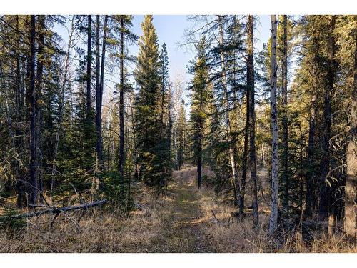 20.01 Acres Twp Rd 282, Rural Rocky View County, AB 