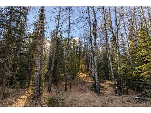 20.01 Acres Twp Rd 282, Rural Rocky View County, AB 