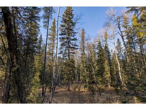 20.01 Acres Twp Rd 282, Rural Rocky View County, AB 