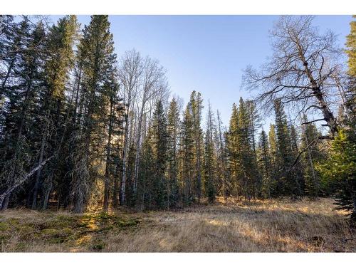 20.01 Acres Twp Rd 282, Rural Rocky View County, AB 