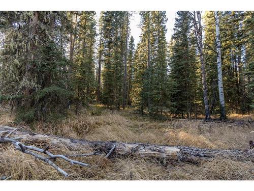 20.01 Acres Twp Rd 282, Rural Rocky View County, AB 