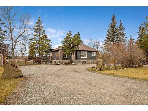 664 Royalite Way Se, Diamond Valley, AB - Outdoor