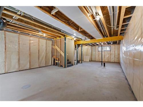 603 Savanna Crescent Ne, Calgary, AB - Indoor Photo Showing Basement