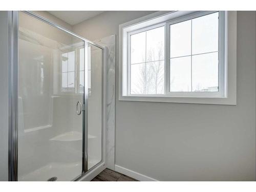 199 Silver Spruce Grove Sw, Calgary, AB - Indoor Photo Showing Bathroom