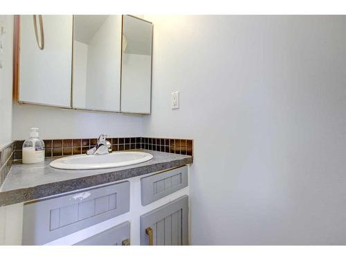 1011 Abbeydale Drive Ne, Calgary, AB - Indoor Photo Showing Bathroom