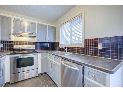 1011 Abbeydale Drive Ne, Calgary, AB - Indoor Photo Showing Kitchen With Double Sink