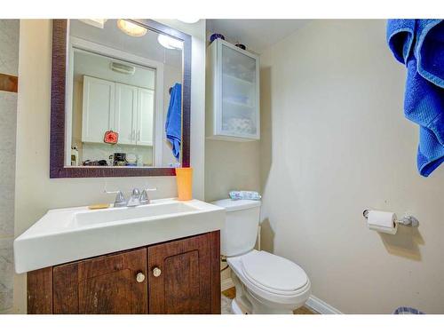 1011 Abbeydale Drive Ne, Calgary, AB - Indoor Photo Showing Bathroom