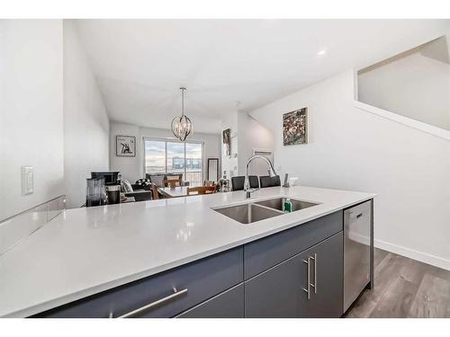 345 Skyview Ranch Circle Ne, Calgary, AB - Indoor Photo Showing Kitchen With Double Sink