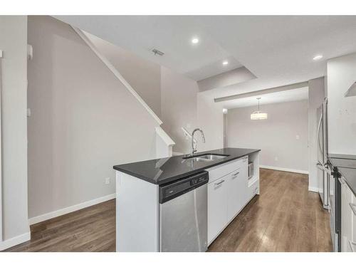 8425 Saddlebrook Drive Ne, Calgary, AB - Indoor Photo Showing Kitchen With Double Sink