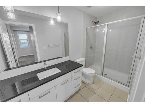 8425 Saddlebrook Drive Ne, Calgary, AB - Indoor Photo Showing Bathroom