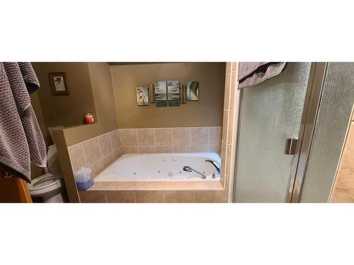 12 Mapleridge Estates, Strathmore, AB - Indoor Photo Showing Bathroom