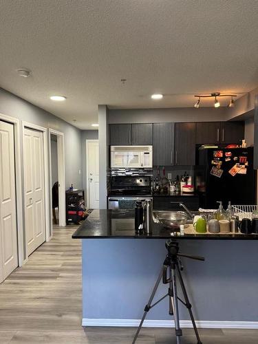 103-15 Saddlestone Way Ne, Calgary, AB - Indoor Photo Showing Kitchen With Double Sink