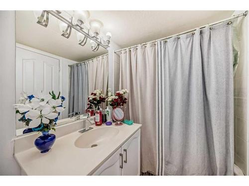 158 Laguna Circle Ne, Calgary, AB - Indoor Photo Showing Bathroom