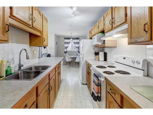 207-165 Manora Place Ne, Calgary, AB - Indoor Photo Showing Kitchen With Double Sink