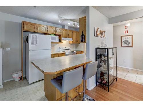 207-165 Manora Place Ne, Calgary, AB - Indoor Photo Showing Kitchen