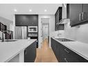 28 Cornerbrook Road Ne, Calgary, AB  - Indoor Photo Showing Kitchen With Upgraded Kitchen 