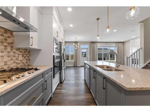 19 Homestead Close Ne, Calgary, AB - Indoor Photo Showing Kitchen With Double Sink With Upgraded Kitchen