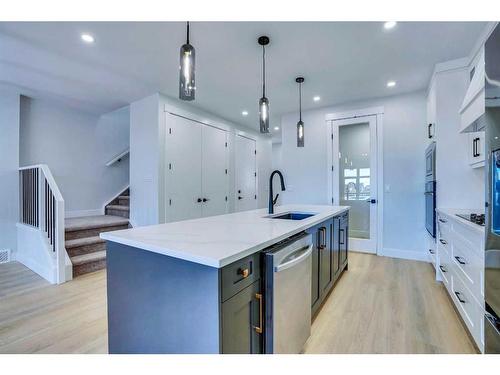 160 Saddlelake Manor Ne, Calgary, AB - Indoor Photo Showing Kitchen With Upgraded Kitchen