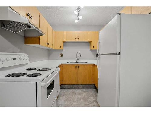 36 Canterbury Gardens Sw, Calgary, AB - Indoor Photo Showing Kitchen With Double Sink