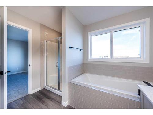 172 Mallard Grove Se, Calgary, AB - Indoor Photo Showing Bathroom