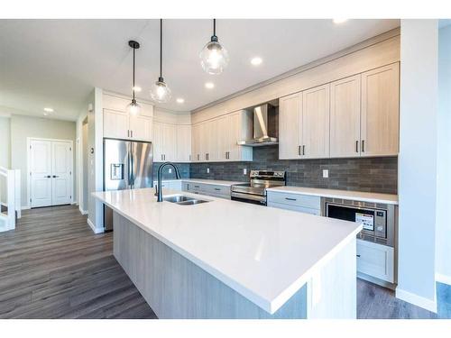 172 Mallard Grove Se, Calgary, AB - Indoor Photo Showing Kitchen With Double Sink With Upgraded Kitchen