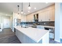 172 Mallard Grove Se, Calgary, AB  - Indoor Photo Showing Kitchen With Double Sink With Upgraded Kitchen 