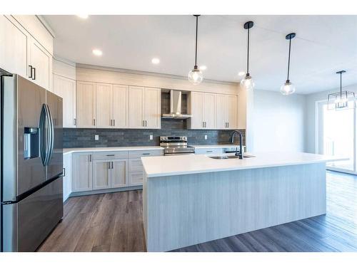 172 Mallard Grove Se, Calgary, AB - Indoor Photo Showing Kitchen With Upgraded Kitchen