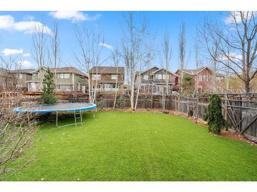 146 Auburn Sound Circle Se, Calgary, AB - Outdoor With Backyard