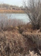 670 Center Street  Drumheller, AB T0J 0Y9