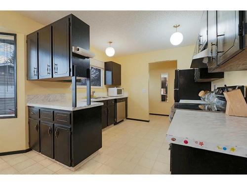 423 Queensland Circle Se, Calgary, AB - Indoor Photo Showing Kitchen