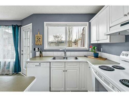 16 Cramond Drive Se, Calgary, AB - Indoor Photo Showing Kitchen With Double Sink