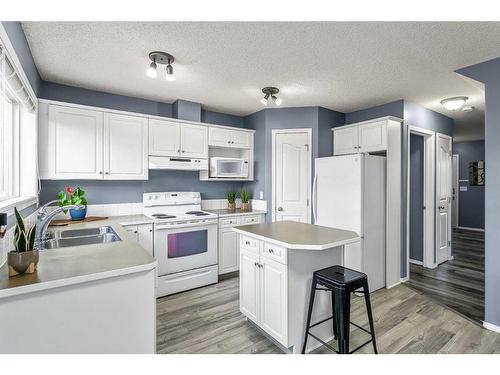 16 Cramond Drive Se, Calgary, AB - Indoor Photo Showing Kitchen With Double Sink