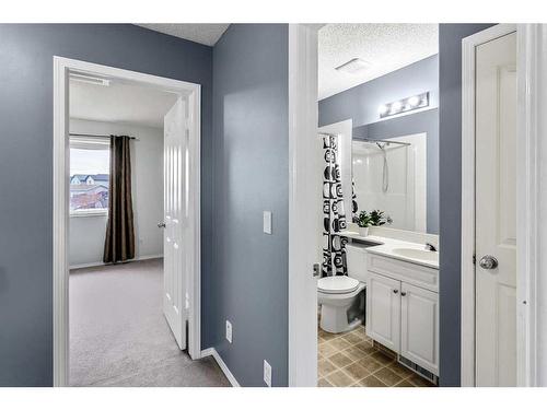 16 Cramond Drive Se, Calgary, AB - Indoor Photo Showing Bathroom