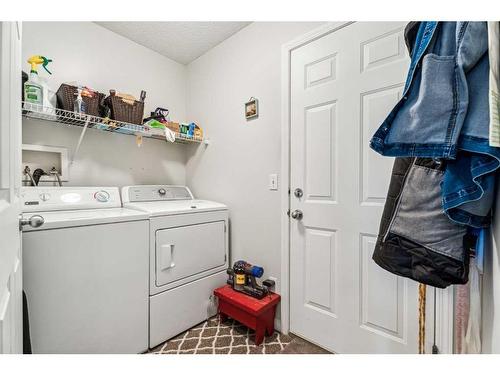 11-117 Bow Ridge Drive, Cochrane, AB - Indoor Photo Showing Laundry Room