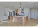 215 Marina Grove Se, Calgary, AB 