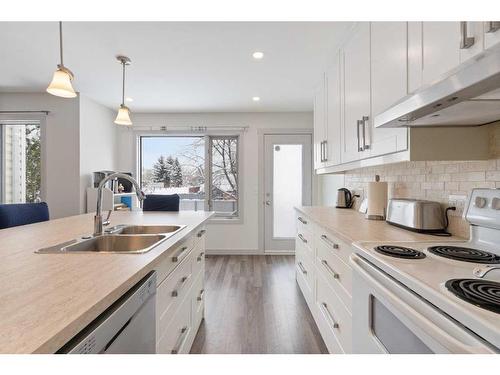 9110 21 Street Se, Calgary, AB - Indoor Photo Showing Kitchen With Double Sink