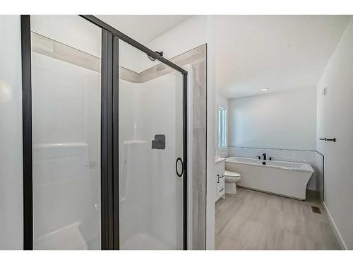 103 Saddlebred Place, Cochrane, AB - Indoor Photo Showing Bathroom