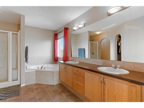 244 Hawkmere View, Chestermere, AB - Indoor Photo Showing Bathroom