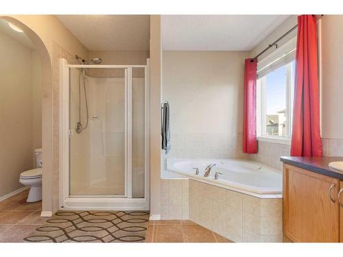 244 Hawkmere View, Chestermere, AB - Indoor Photo Showing Bathroom