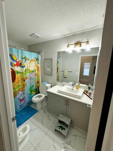 20 Cranbrook Green Se, Calgary, AB - Indoor Photo Showing Bathroom