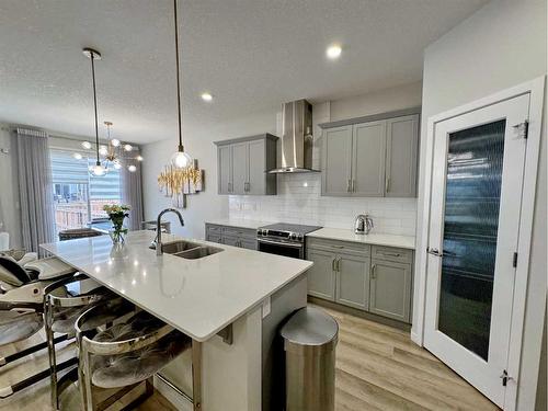 20 Cranbrook Green Se, Calgary, AB - Indoor Photo Showing Kitchen With Double Sink With Upgraded Kitchen