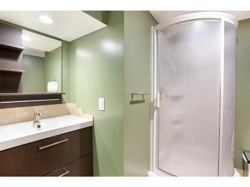 131 Rundlehorn Crescent Ne, Calgary, AB - Indoor Photo Showing Bathroom