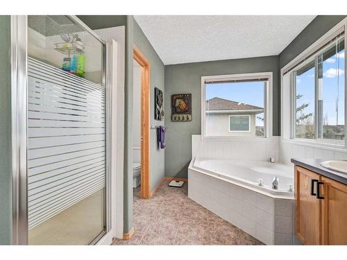 100 Cove Road, Chestermere, AB - Indoor Photo Showing Bathroom